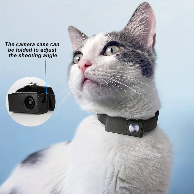HD 1080P Pet Camera Wireless Collar