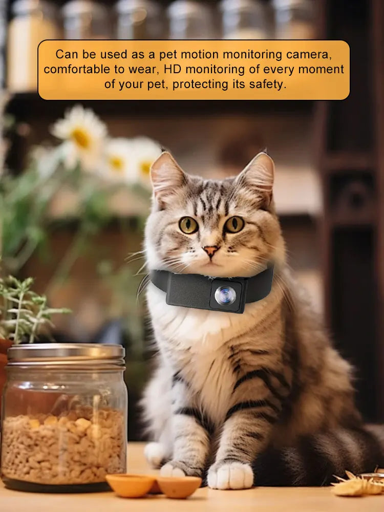 HD 1080P Pet Camera Wireless Collar