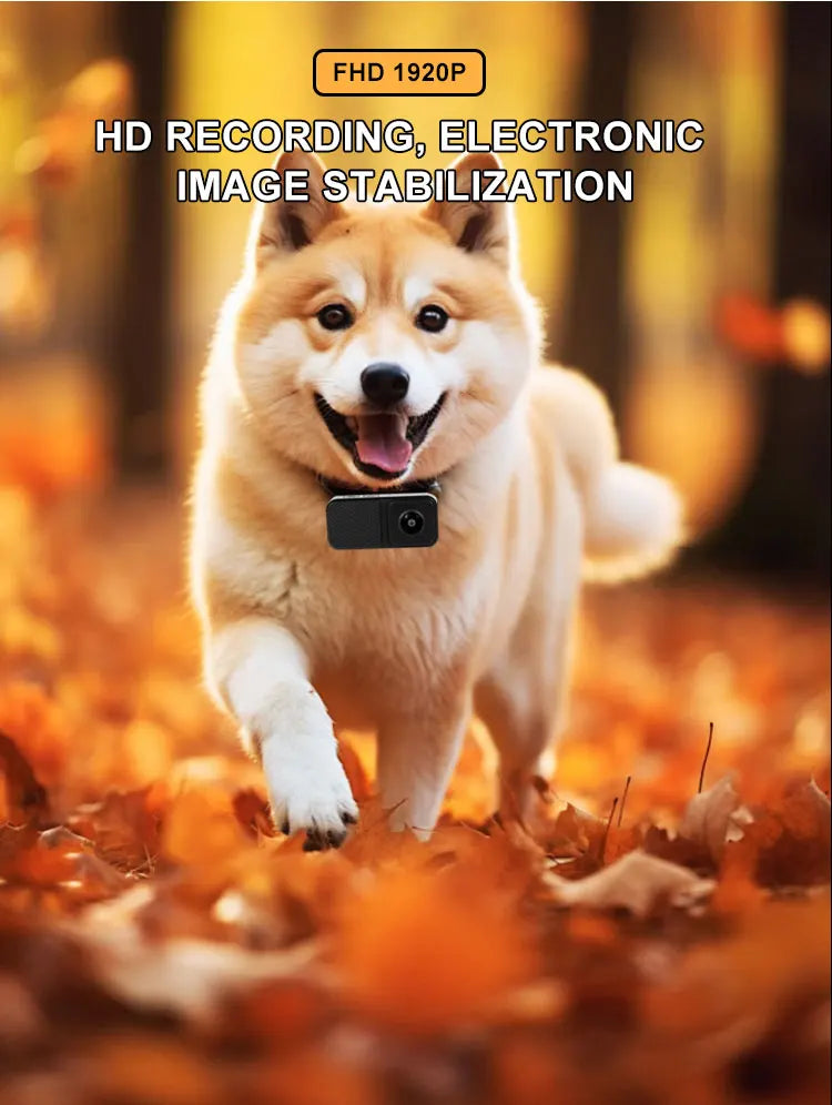HD 1080P Pet Camera Wireless Collar