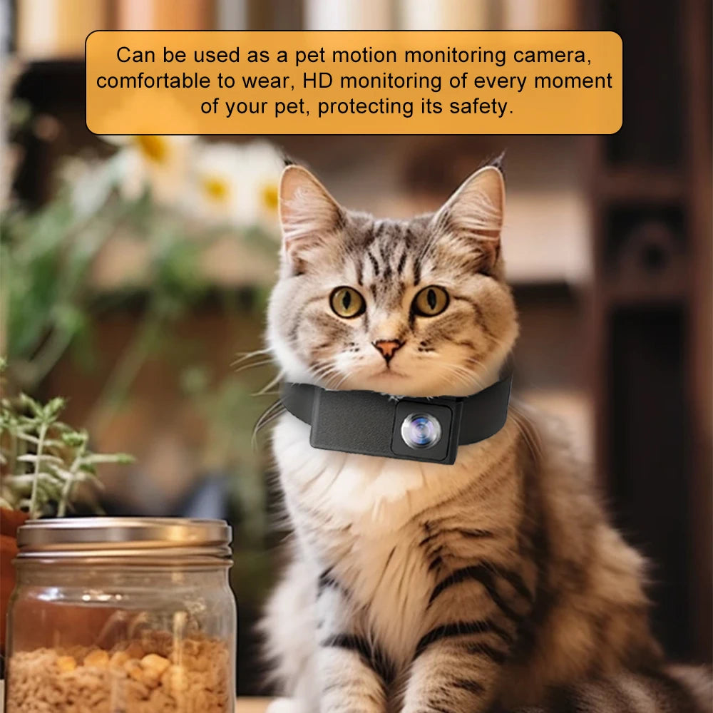 HD 1080P Pet Camera Wireless Collar
