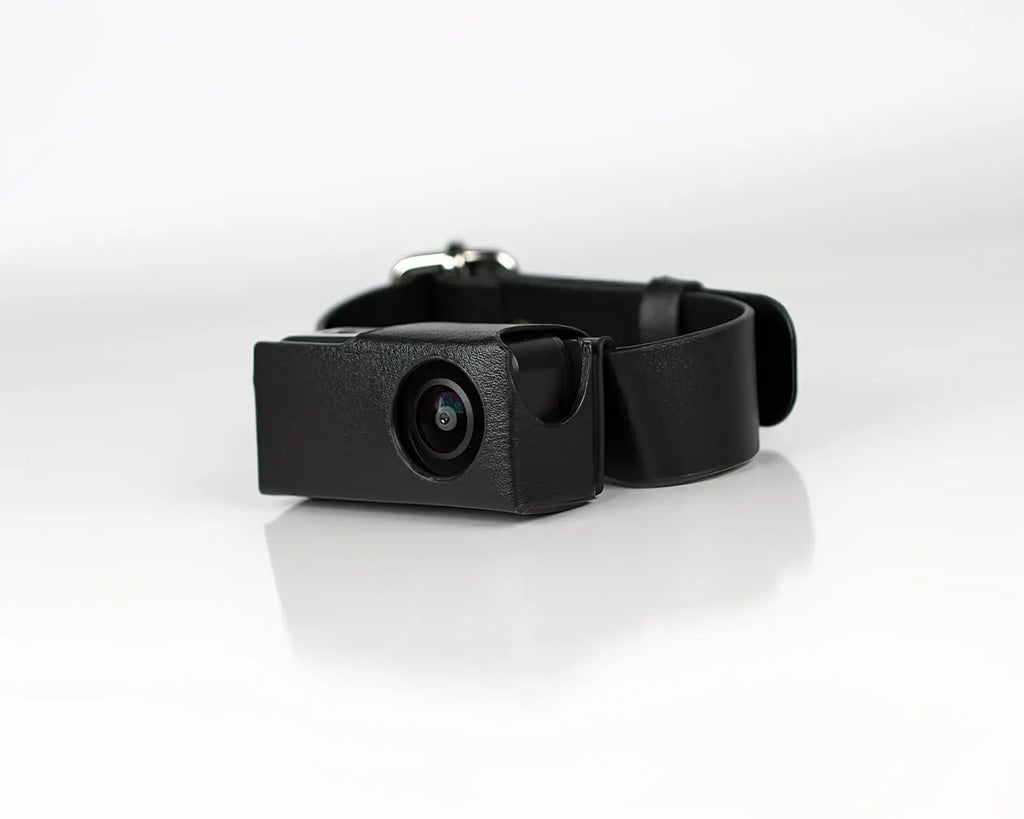 HD 1080P Pet Camera Wireless Collar